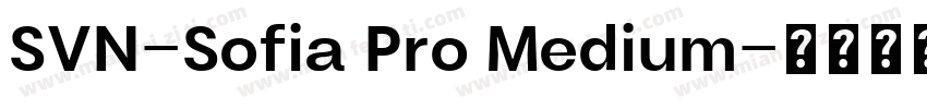SVN-Sofia Pro Medium字体转换